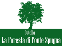 Foresta Fonte Spugna